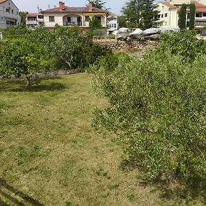 Avsec Krk Town